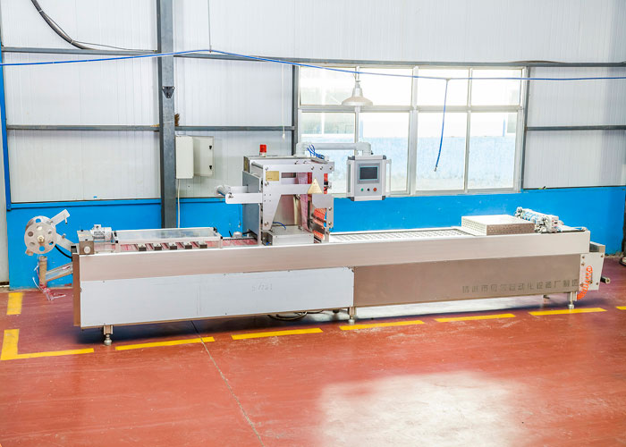 真空包装牛肉干拉伸膜包装机